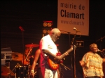 petits pois 2006 1440.jpg